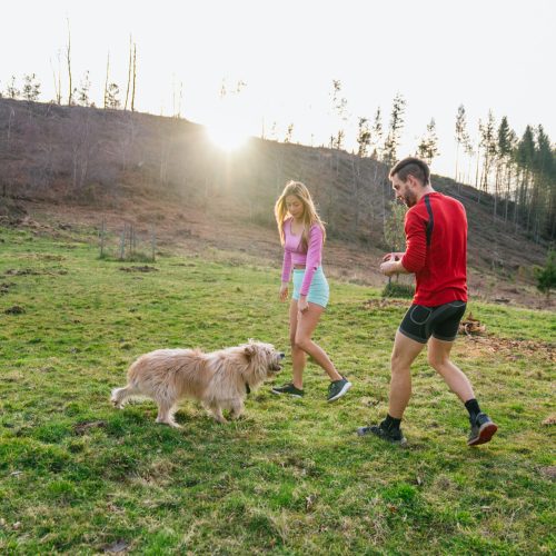 Athletes playing with their furry friend in a meadow at sunset, enjoying the fresh air and the beauty of nature